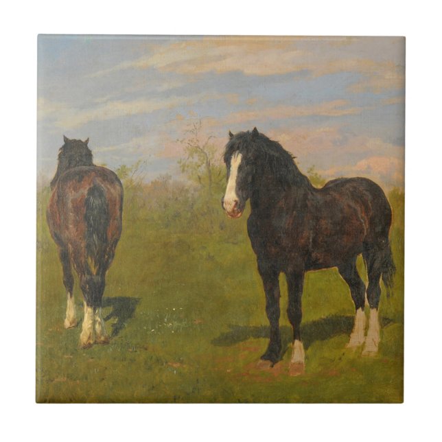 Cavalos de Luz (por Rosa Bonheur) (Frente)