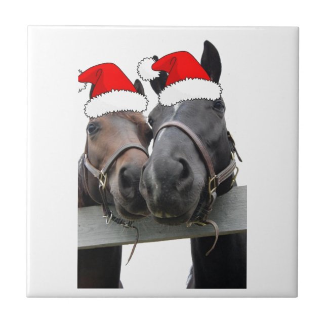 Cavalos de Natal (Frente)