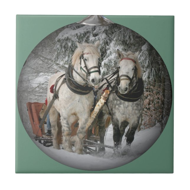 Cavalos de Natal (Frente)