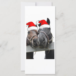 Cavalos de Natal