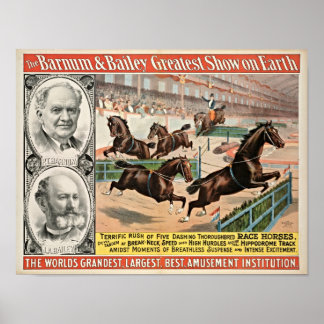 Cavalos de raça pura Poster