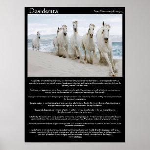 Cavalos Desiderata Posters