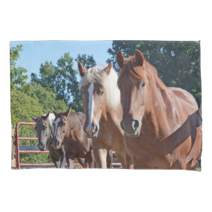 Cavalos dirigidos de volta ao celeiro