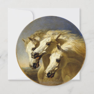 Cavalos do Faraó 1848 JF Herring, Cartão Sr de Alt