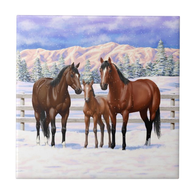 Cavalos Do Quarto De Baía De Brown Em Neve (Frente)