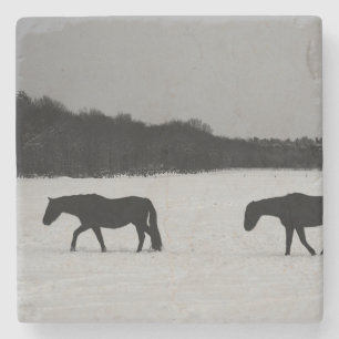 Cavalos em Porta copos de pedra na neve