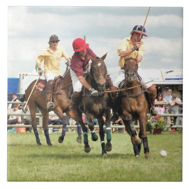 CAVALOS ESPORTIVOS (Frente)