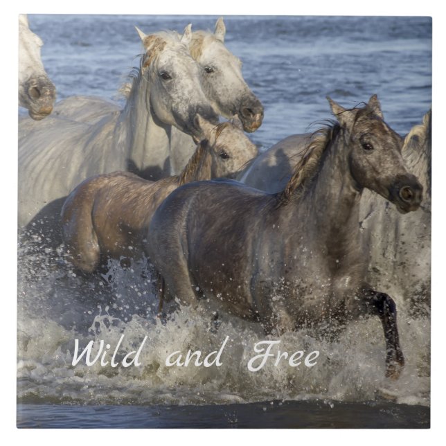 Cavalos galopando na água (Frente)