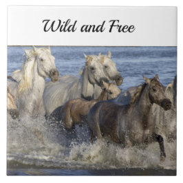 Cavalos galopando na água