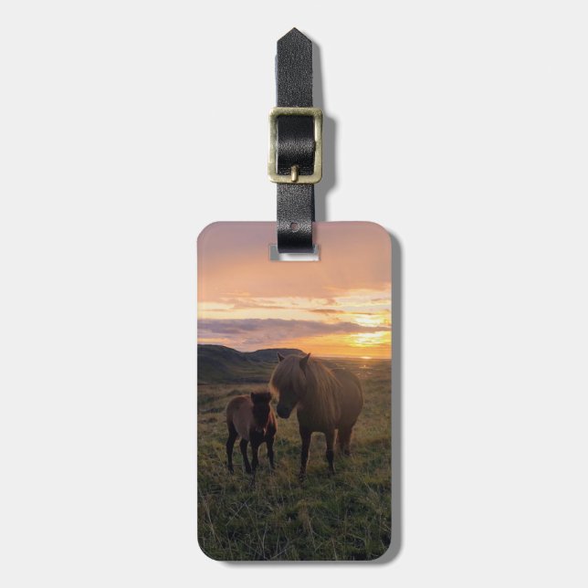 Cavalos islandeses - etiqueta de bagagem (Frente Vertical)