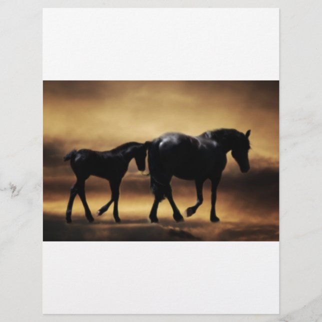 Cavalos mãe e eu (Frente)