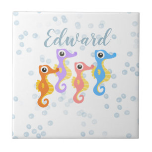 Cavalos-marinhos bonitos