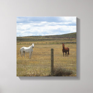 Cavalos na Canvas de Wyoming