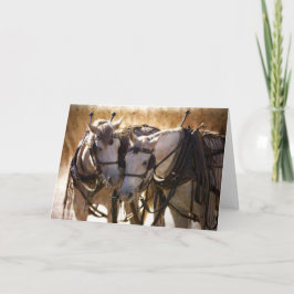 Cavalos no Cartão de Saudação de Harness