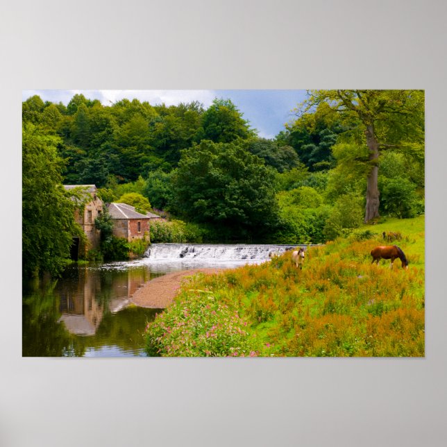 Cavalos no Parque Pollok, Poster de Glasgow (Frente)