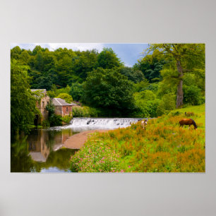 Cavalos no Pollok Park, Glasgow Poster
