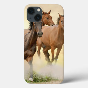 Cavalos no por do sol