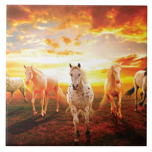 Cavalos no travesseiro decorativo solar (Frente)