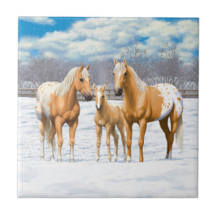 Cavalos Palomino Appaloosa Na Neve
