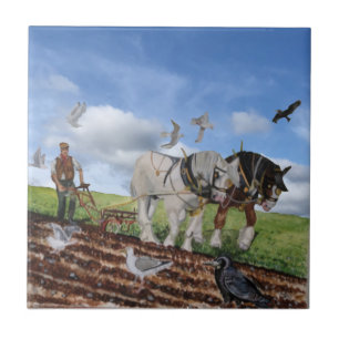 Cavalos Pesados Voando Em Março