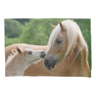Cavalos potro de Haflinger e Travesseiro-Cobrir do