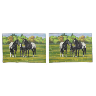Cavalos Pretos De Appaloosa Em Pasto De Verão