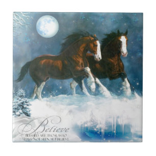 Cavalos que funcionam na neve