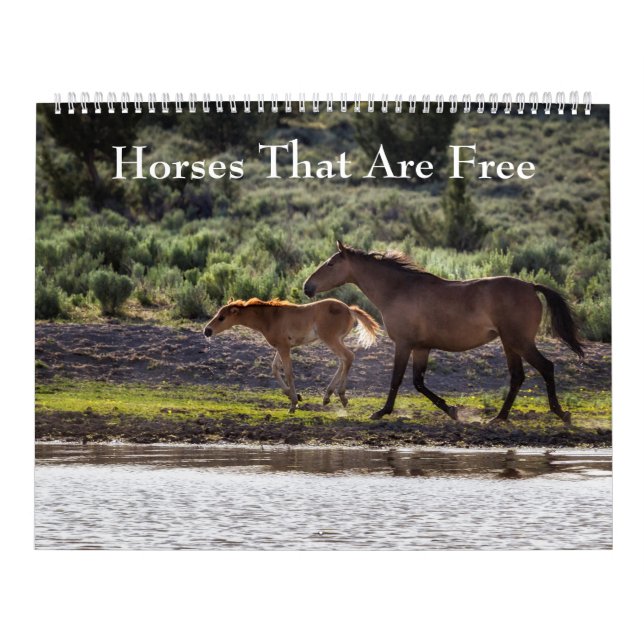 Cavalos Que São Calendário Gratuito (Capa)