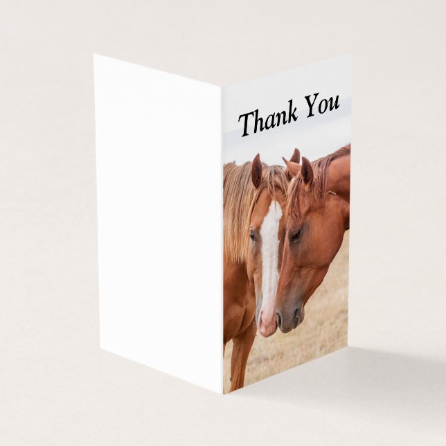 Cavalos que se infundem numa pastagem (Exterior)