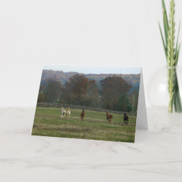 Cavalos Running, cartão