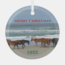 Cavalos Selvagens Bancos Exteriores OBX Natal