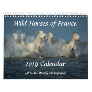 Cavalos selvagens de France - calendário de parede