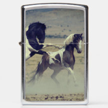 CAVALOS SELVAGENS DE ONAQUI PINTO Zippo Lighter