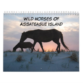 Cavalos Selvagens Do Calendário Da Ilha De Assatea