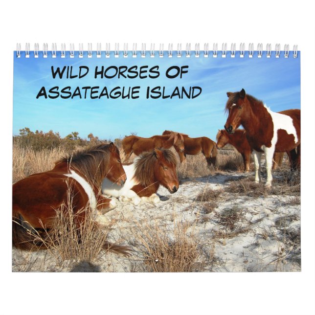 Cavalos Selvagens Do Calendário Da Ilha De Assatea (Capa)
