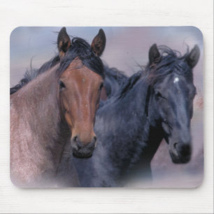 Cavalos selvagens & Mousepad maravilhoso