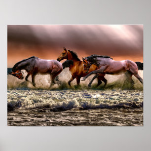 Cavalos Stallion em Beach Photo Nature Wall Poster