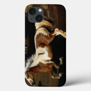 Cavalos - Tema Ocidental Americano