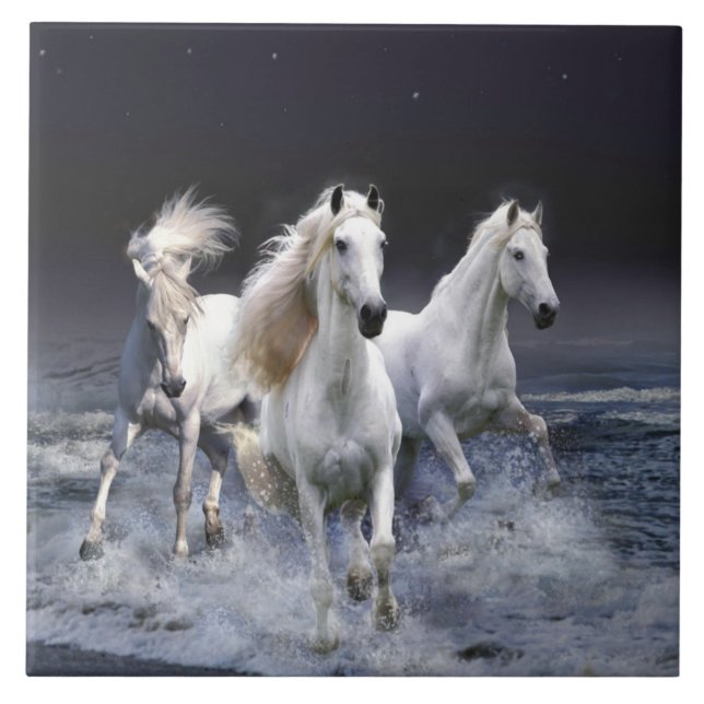 Cavalos travesseiros decorativos (Frente)