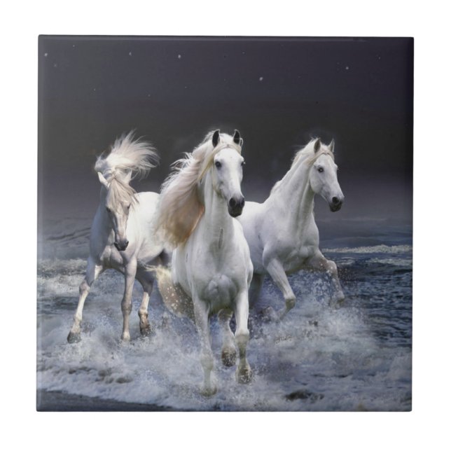 Cavalos travesseiros decorativos (Frente)