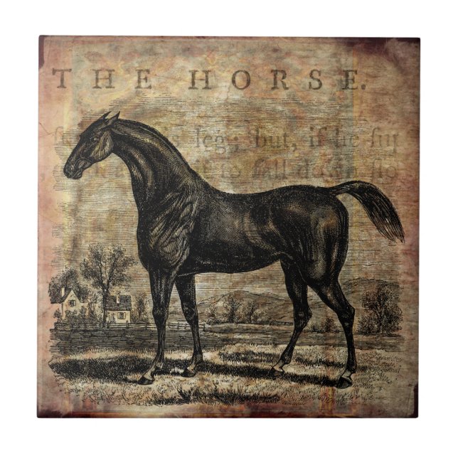 Cavalos Vintage Cristo e Cavalos Árabes (Frente)