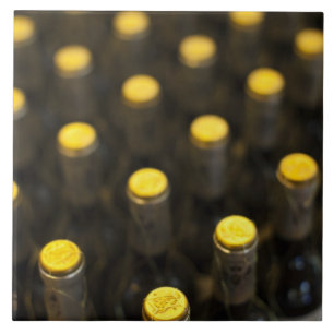 Cave de vin Bodega Marques de Riscal, bouteilles d