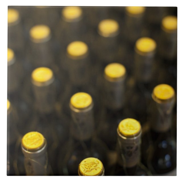 Cave de vin Bodega Marques de Riscal, bouteilles d (Frente)