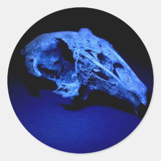 Caveira de Coelho - Conjunto de 20 Adesivos