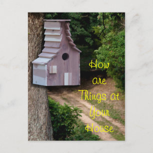Cedar Birdhouse em um cartão postal de árvore -