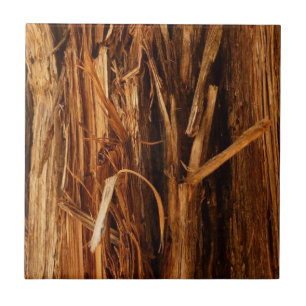 Cedar Textura de Latido de Madeira