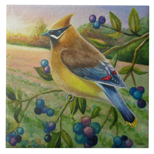 Cedar Waxwing Bird Blueberry Fazenda (Frente)