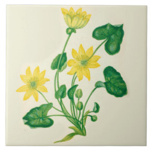 Celandine do azulejo da cozinha do país dos