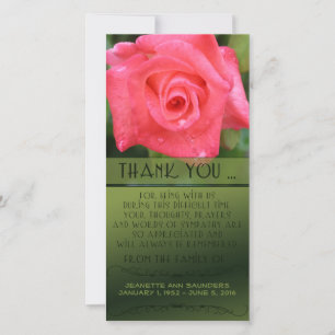 Celebração da vida, Rosa de coral, você persona
