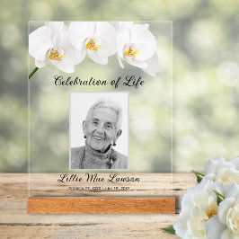 Celebração das Orquídeas da Vida